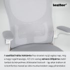 Flexo ergonomikus irodai forgószék deréktámasszal