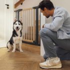 Biztonsági korlát 74-80 cm lépcsőkhöz és ajtókhoz fémből és fából